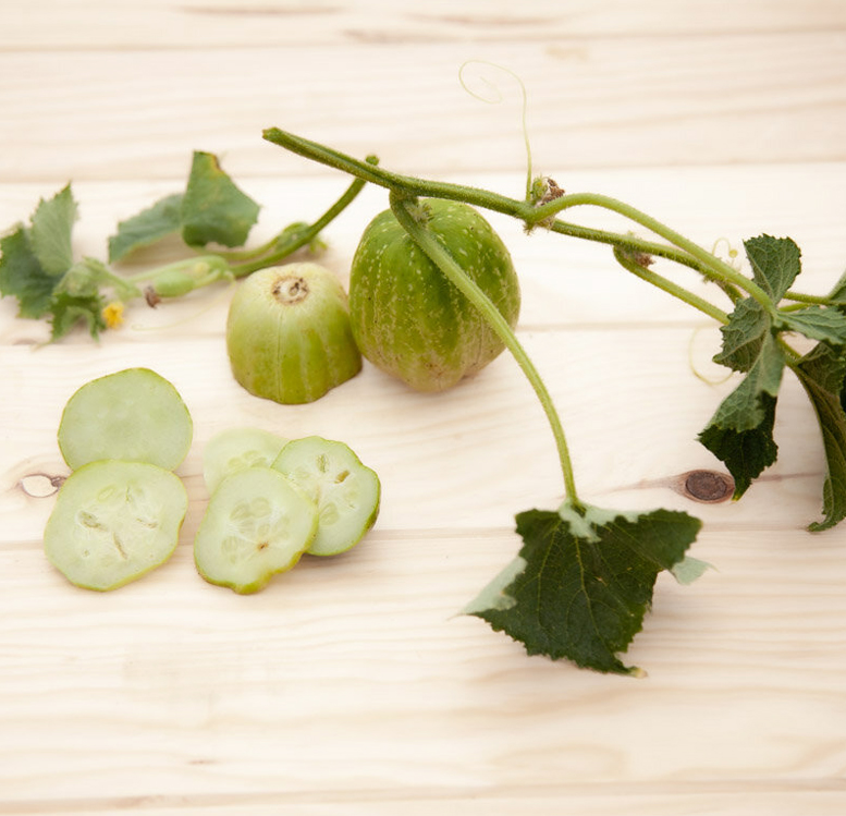 Cucumber Richmond Green Apple Kurkku, Необычный огурец Зелёное яблоко Ричмонда